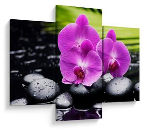 Kép - Orchideák (90x60 cm)