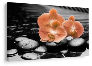 Kép - Narancssárga orchideák (90x60 cm)