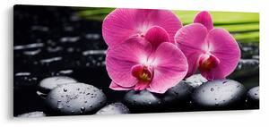 Kép - Rózsaszín orchidea pálmalevéllel (120x50 cm)
