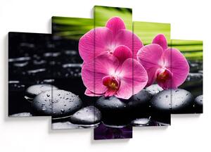 Kép - Rózsaszín orchidea pálmalevéllel (150x105 cm)