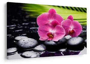 Kép - Rózsaszín orchidea pálmalevéllel (90x60 cm)