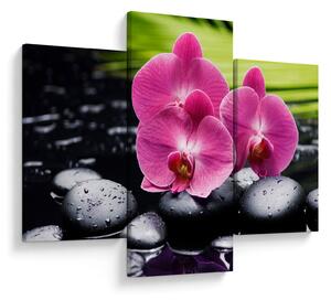 Kép - Rózsaszín orchidea pálmalevéllel (90x60 cm)
