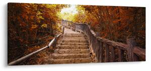 Kép - Lépcsők a természetben ősszel (120x50 cm)