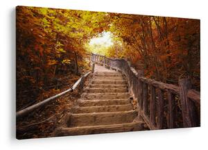 Kép - Lépcsők a természetben ősszel (90x60 cm)