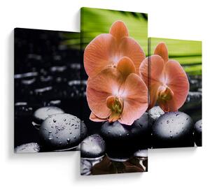 Kép - Narancssárga orchidea pálmalevelekkel (90x60 cm)