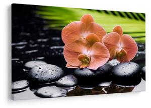 Kép - Narancssárga orchidea pálmalevelekkel (90x60 cm)