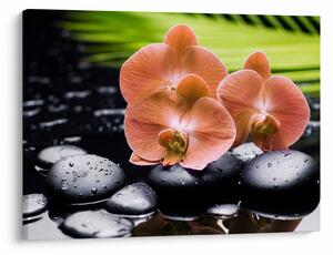 Kép - Narancssárga orchidea pálmalevelekkel (70x50 cm)