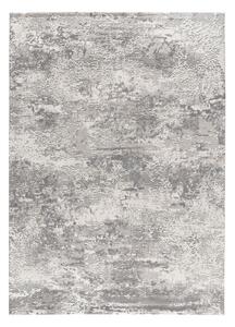 Világosszürke szőnyeg 77x150 cm Oris – Universal