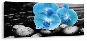 Kép - Kék orchidea (120x50 cm)