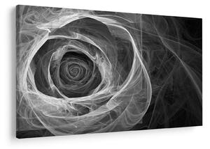 Kép - Absztrakt rózsa fekete-fehér (90x60 cm)