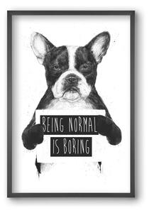 Being normal is boring - falikép keretben | artbridge