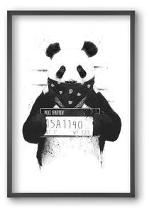 Bad panda - falikép keretben | artbridge