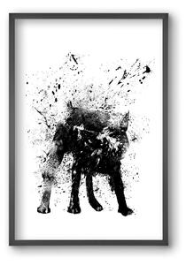 Wet dog - falikép keretben | artbridge
