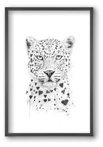 Lovely leopard - falikép keretben | artbridge