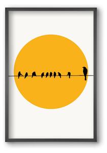 Birds family - falikép keretben | artbridge