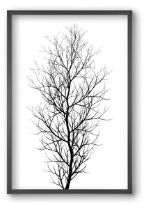 The tree - falikép keretben | artbridge