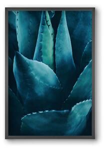 Cactus no. 4 - falikép keretben | artbridge