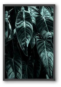 Jungle - falikép keretben | artbridge