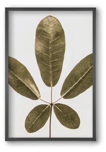 Autumn leaf - falikép keretben | artbridge