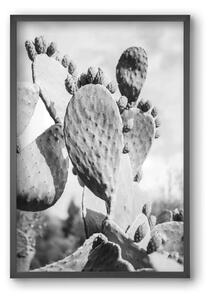 Cacti Cowboy - falikép keretben | artbridge