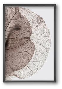 Bougainvillea Island - falikép keretben | artbridge