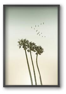 Vintage palm trees at sunset - falikép keretben | artbridge