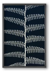 Fern - falikép keretben | artbridge