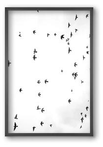 Flight and freedom - falikép keretben | artbridge