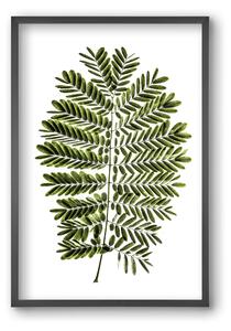 Leaf study - falikép keretben | artbridge