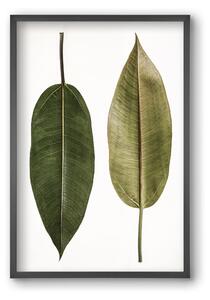 Leaf study II. - falikép keretben | artbridge