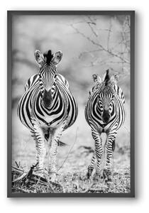 Striped horse - falikép keretben | artbridge