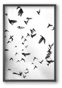 Flight & Freedom II. - falikép keretben | artbridge
