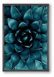 Cactus No. 9 - falikép keretben | artbridge