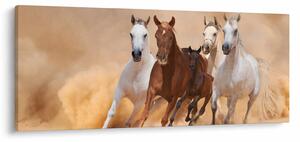Kép - Lócsorda (120x50 cm)