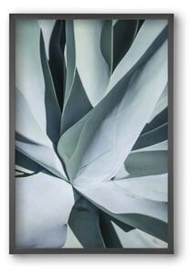 Aqua Cactus - falikép keretben | artbridge