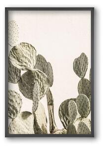Mexi cactus - falikép keretben | artbridge