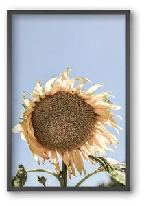 Sunny bloom - falikép keretben | artbridge