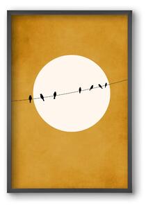 Chirping and Chilling at Night - falikép keretben | artbridge