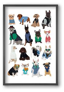 Cool Dogs - falikép keretben | artbridge