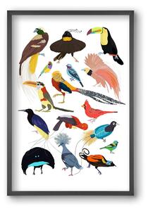 Birds of Prey - falikép keretben | artbridge
