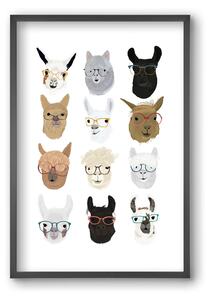 Llamas in Glasses - falikép keretben | artbridge