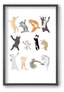 Dancing Cats - falikép keretben | artbridge