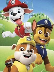Baba törölköző PAW PATROL team 70X140cm Setino