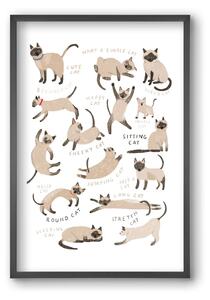 Siamese Cats - falikép keretben | artbridge