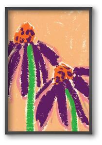 Echinacea - falikép keretben | artbridge