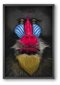 Monkey illustration - falikép keretben | artbridge