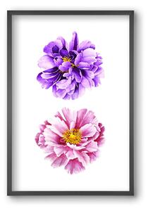 Peonies - falikép keretben | artbridge
