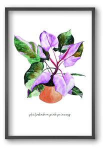 Philodendron pink princess - falikép keretben | artbridge