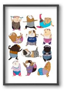 Guinea Pigs doing Aerobic - falikép keretben | artbridge