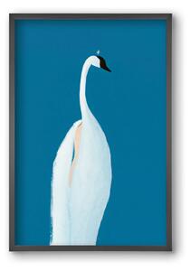Swan maybe - falikép keretben | artbridge